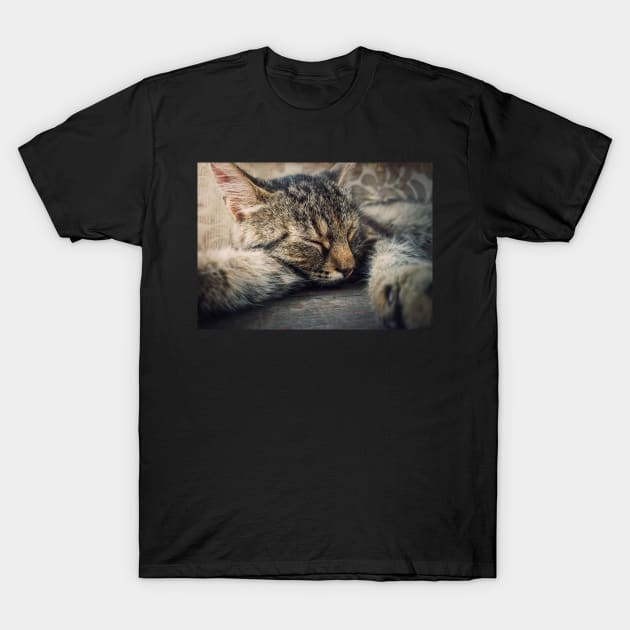 sleeping cat T-Shirt by psychoshadow